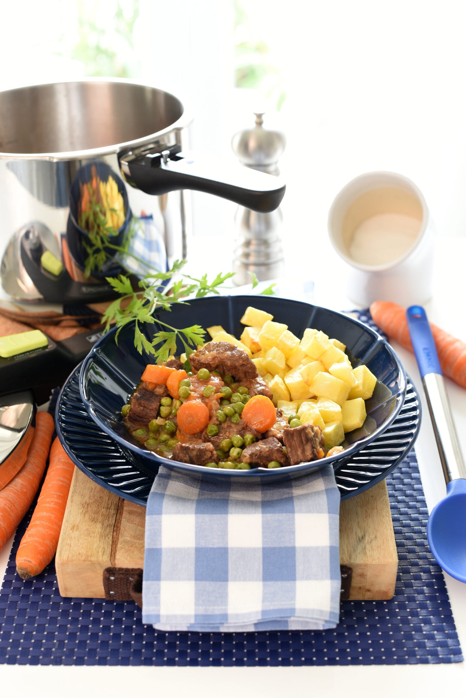 MONIX TERNERA A LA JARDINERA-2 IG